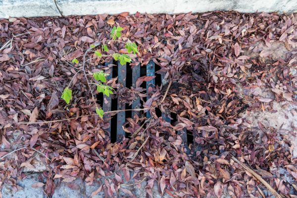 Cost of Yard Drain Unclogging in Wexford