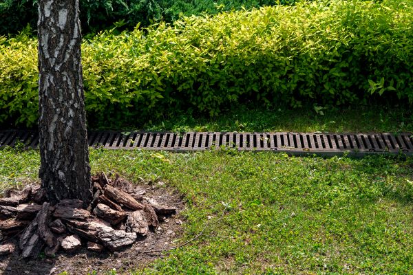 Cost of Wet Yard Drainage in Wexford