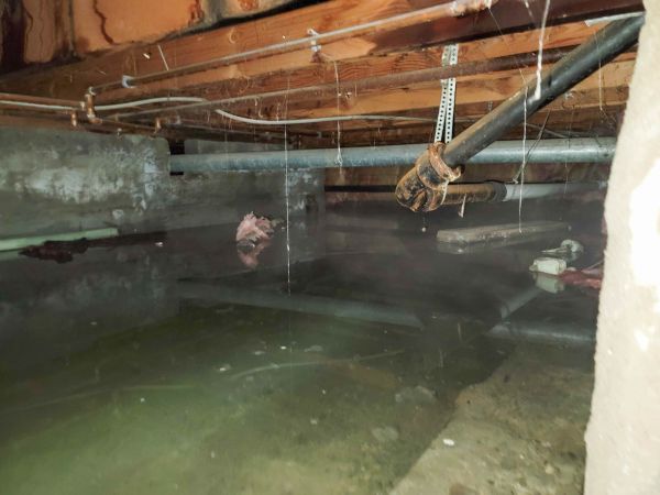Cost of Crawlspace Drainage in Wexford